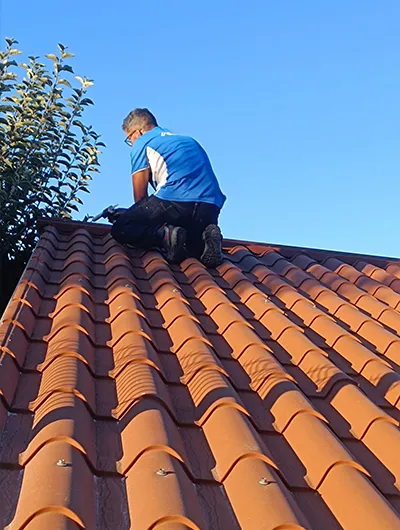 Protective Shield | Controlo de Pragas e Desentupimento!