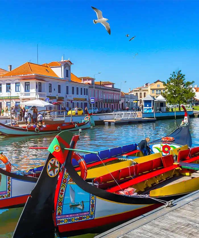 Desentupimento Aveiro
